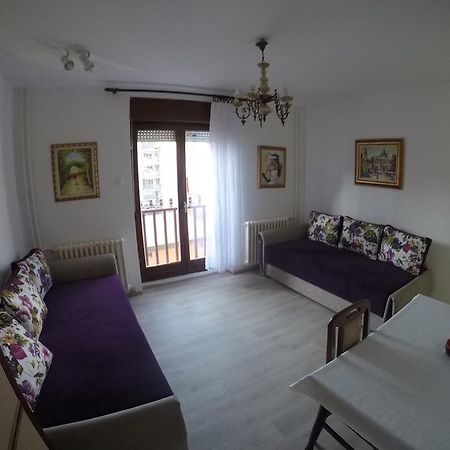 Violet Star Apartment Újvidék Kültér fotó