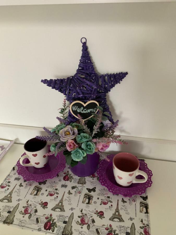 Violet Star Apartment Újvidék Kültér fotó
