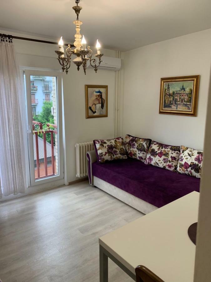 Violet Star Apartment Újvidék Kültér fotó