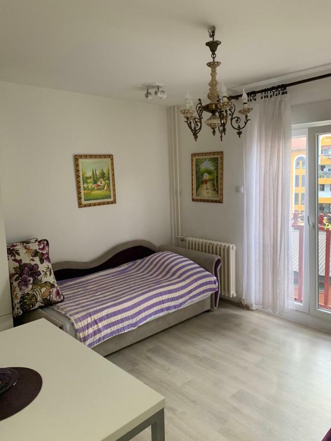Violet Star Apartment Újvidék Kültér fotó
