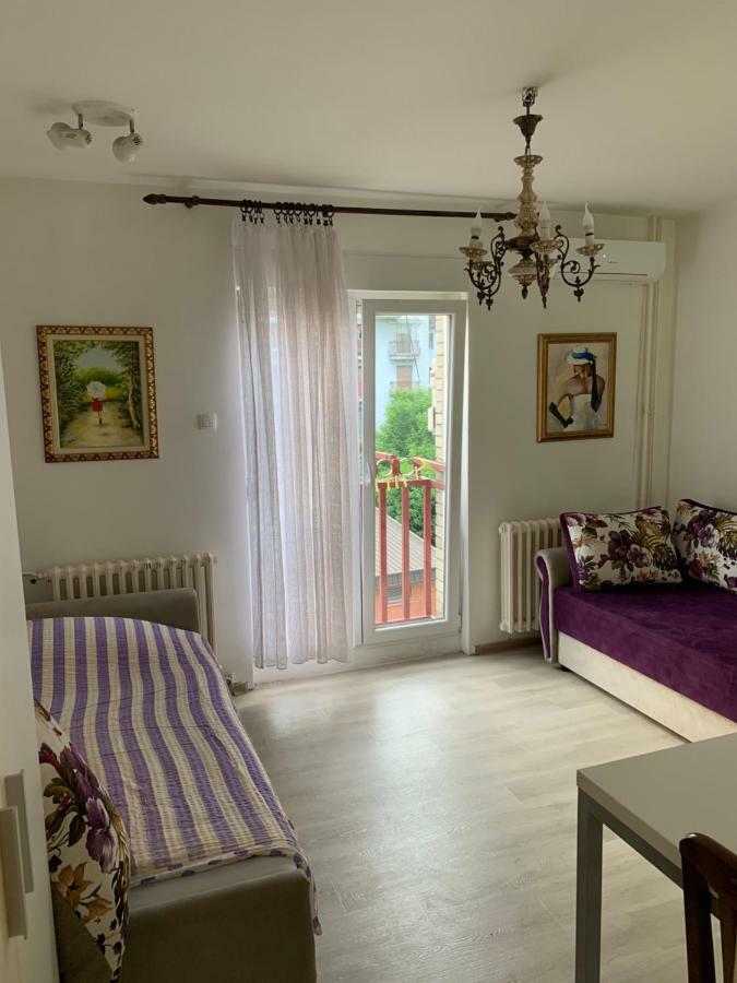 Violet Star Apartment Újvidék Kültér fotó